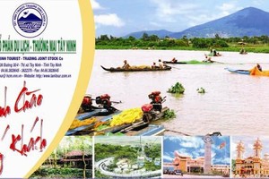 Quý IV/2016, lợi nhuận của Tanitour, công ty mẹ của TCT giảm mạnh