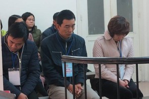 3 cán bộ cấp khống 815 chứng chỉ hợp quy phân bón lĩnh án