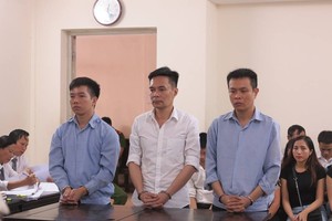 Cán bộ hải quan trộm ngà voi bị tuyên phạt 16 năm tù giam