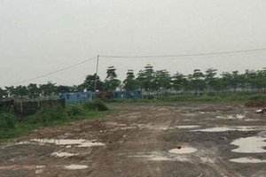 Tòa án cho rằng về hình thức, thẩm quyền, ban hành, các quyết định này tuân thủ đúng quy định. (ảnh minh họa)