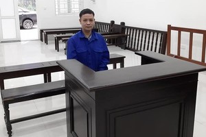 Bị cáo Chu Danh Phương, nguyên Kế toán trưởng Cmistone, người tham gia tố cáo vụ MTM bị phạt 14 năm tù giam