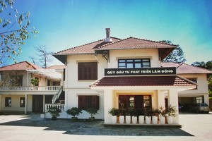 Vi phạm tố tụng, vụ Quỹ Đầu tư phát triển Lâm Đồng kiện đòi nợ lại bị hủy án