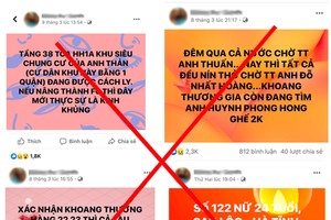Một số nội dung sai sự thật  mà Facebook "Đ.N.Q" đã phát tán