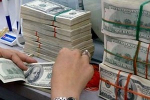 Kiều hối về TP.HCM đạt 4,55 tỷ đồng trong 11 tháng 