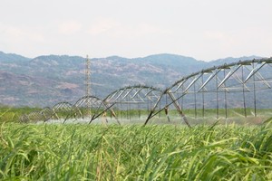 SBT bắt đầu mua cổ phiếu Quỹ