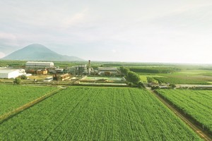 SBT sẽ bứt phá ra sao trong nửa cuối niên độ 2018 - 2019?