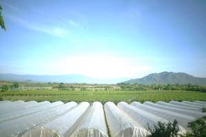 Nhà màng nông nghiệp thông minh của Trang trại Nắng và Gió (GC Food) Ninh Thuận
