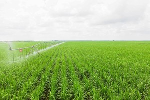 SBT chuẩn bị tiến hành đại hội cổ đông thường niên niên độ 2021-2022