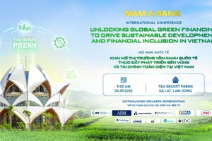 Khai mở thị trường vốn xanh quốc tế - thúc đẩy phát triển bền vững và tài chính toàn diện tại Việt Nam