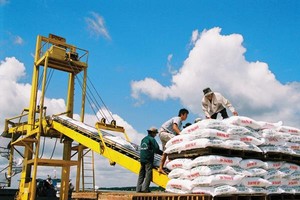 DPM: quý II là cao điểm vụ hè/thu, sản lượng tiêu thụ phân bón sẽ tăng lên 350 ngàn tấn