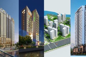 Ricons dự kiến lợi nhuận gấp 2,5 vốn điều lệ và phát hành cho nhà đầu tư chiến lược