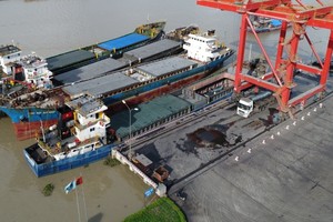 Thép cuộn Việt Nam có thể không phải chịu thuế chống bán giá khi xuất khẩu sang Úc