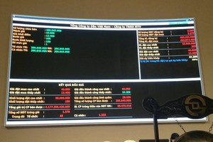 IPO PVOIL: Giá đấu thành công bình quân 20.196 đồng/cổ phần