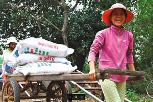 Đạm Phú Mỹ (DPM): Lợi nhuận cả năm đạt 435 tỷ đồng