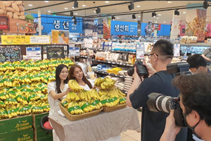 Chuối Lopang trồng tại Gia Lai được giới thiệu, phân phối tại Lotte Mart, Hàn Quốc