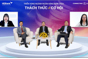 Hội thảo C2C của HSC: “Lãi suất hạ nhiệt giúp triển vọng tăng trưởng của cả doanh nghiệp và ngân hàng tươi sáng hơn”