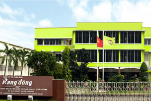 Cổ phiếu RDP của Rạng Đông Holding bị hạn chế giao dịch do chậm công bố báo cáo tài chính