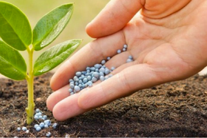 Chuyên gia thuế đề xuất sửa Điều 15 trong dự án sửa đổi Luật Thuế giá trị gia tăng