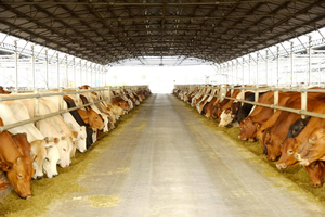 Nông nghiệp Hòa Phát (HPA) chính thức nộp hồ sơ IPO