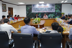 Hoàng Anh Gia Lai (HAG) và WASI hợp tác cung ứng 30 triệu cây giống cà phê chất lượng cao