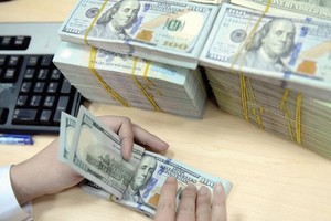 Cơ chế tỷ giá mới sẽ linh hoạt, tỷ giá có thể thay đổi hàng ngày với sự kiểm soát của Ngân hàng Nhà nước.