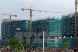 Ảnh minh họa. (Nguồn: TTXVN)