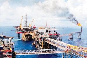 Nhóm cổ phiếu dầu khí đã có sự phục hồi ấn tượng trong tháng qua