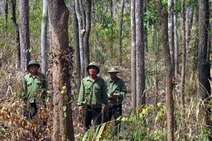 Ảnh minh hoạ. Nguồn: Internet