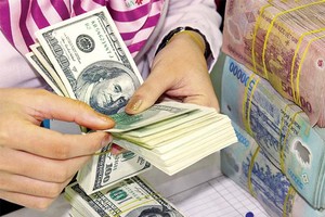 Tỷ giá đang trườn bò khó đoán