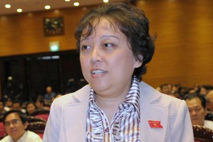 Bà Phạm Khánh Phong Lan, Ủy viên Ủy ban Các vấn đề xã hội của Quốc hội