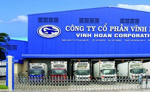 VHC: Mua lại cổ phiếu quỹ không thành công