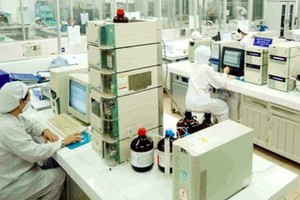 DCL phát hành 20 triệu cổ phiếu cho cổ đông hiện hữu