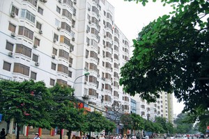 Năm 2016, thị trường bất động sản tuy có triển vọng phục hồi mạnh, nhưng không phải là sự trở lại ồ ạt của tất cả các phân khúc