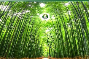 GTN bỏ bớt nhiều ngành nghề kinh doanh để nới room lên 100%