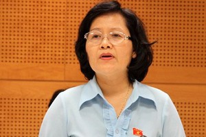 Đại biểu Trần Thị Quốc Khánh tỏ thái độ xót xa trước những bức xúc của doanh nghiệp về thể chế. Ảnh: N.H