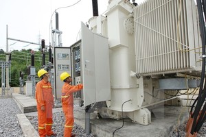 (Ảnh minh họa. Ngọc Hà/TTXVN)