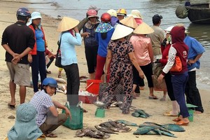 Người dân đang rất lo lắng khi những ngày gần đây cá chết bất thường không rõ nguyên nhân. (Ảnh: Trần Tĩnh/TTXVN)