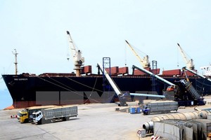 Ảnh minh họa. (Nguồn: TTXVN)