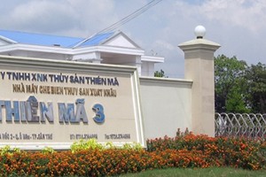 Thống kê sơ bộ, Công ty của đại gia thủy sản Phan Bá Tòng đang mắc nợ 800 tỷ đồng. Ảnh: Cửu Long