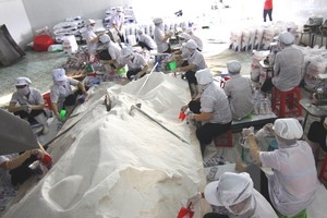 Đóng gói muối ăn tại xưởng sản xuất. (Ảnh: Vũ Sinh/TTXVN)