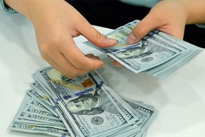 Sáng 14/6, tỷ giá trung tâm giảm 8 đồng/USD, giá vàng chững lại