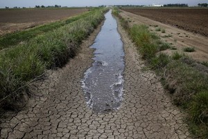 Ảnh minh họa. (Nguồn: cironline.org)