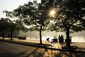 Tháng 8 mùa thu, lá khởi vàng chưa nhỉ..?