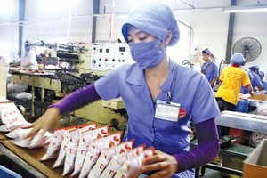 Dây truyền sản xuất mì ăn liền Miliket, 30 năm vẫn gắn với 2 con tôm in trên gói giấy.