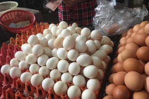 Trứng gà ta giá rẻ được bán tràn lan ở chợ Hà Nội