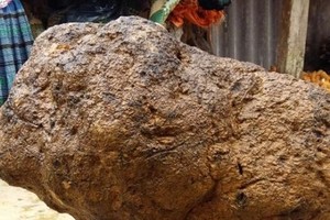 Nấm u nặng hơn 90 kg được anh Thanh rao bán