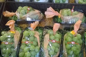 Nho xanh không hạt Nhật Bản đang được giới nhà giàu Việt chuộng mua về ăn