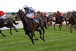 Một loạt các dự án trường đua ngựa đã liên tiếp được đề xuất gần đây khi Chính phủ đang dần hoàn thiện nghị định cho phép kinh doanh cá cược thể thao