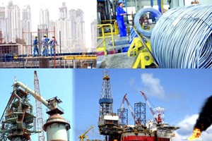 Tỷ lệ DNNN thực hiện công bố thông tin theo quy định của Nghị định 81 còn rất thấp, nội dung thông tin công bố sơ sài, chưa đầy đủ, quy trình công bố thông tin