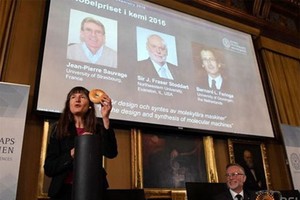 Hội đồng công bố giải thưởng Nobel hóa học 2016. (Nguồn: channelnewsasia.com